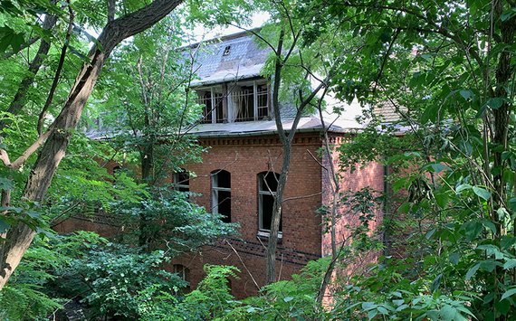 Artenschutzprüfung: Fledermäuse an ruinösem Gebäude – Fassade