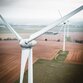 Artenschutzfachbeitrag zu Errichtung Windpark