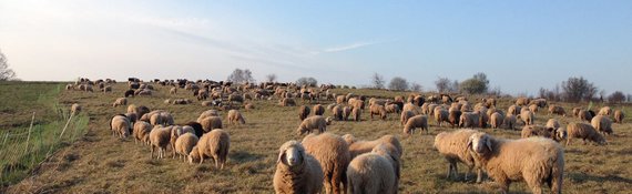 BodenWertSchätzen: Wettbewerb zum Schutz des Bodens – noch bis zum 16.08.