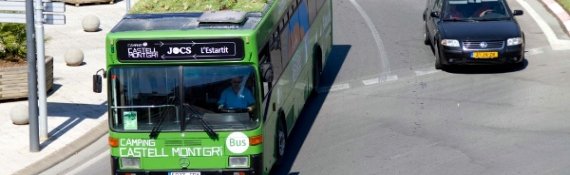 Grüner Verkehr: Busdächer als fahrende Gärten 